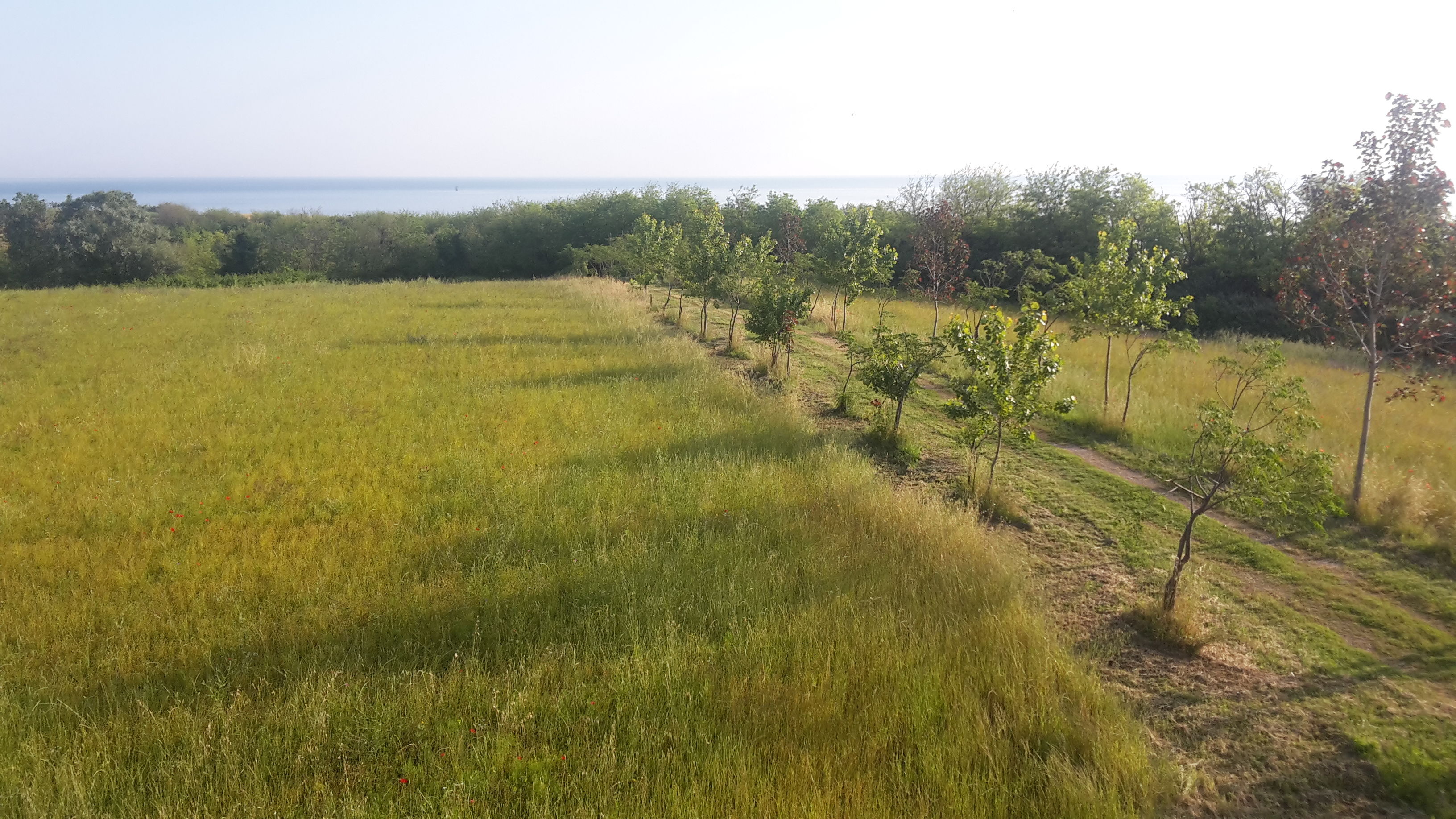 20190605_071413.jpg