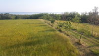 20190605_071413.jpg
