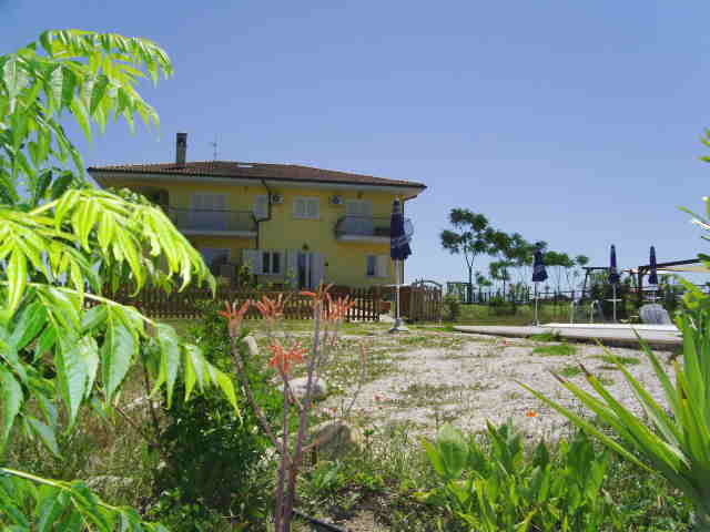 PICT0435.JPG