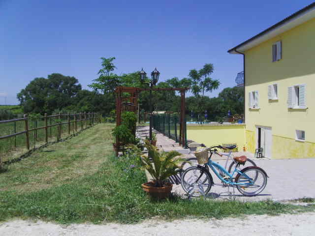 PICT0447.JPG