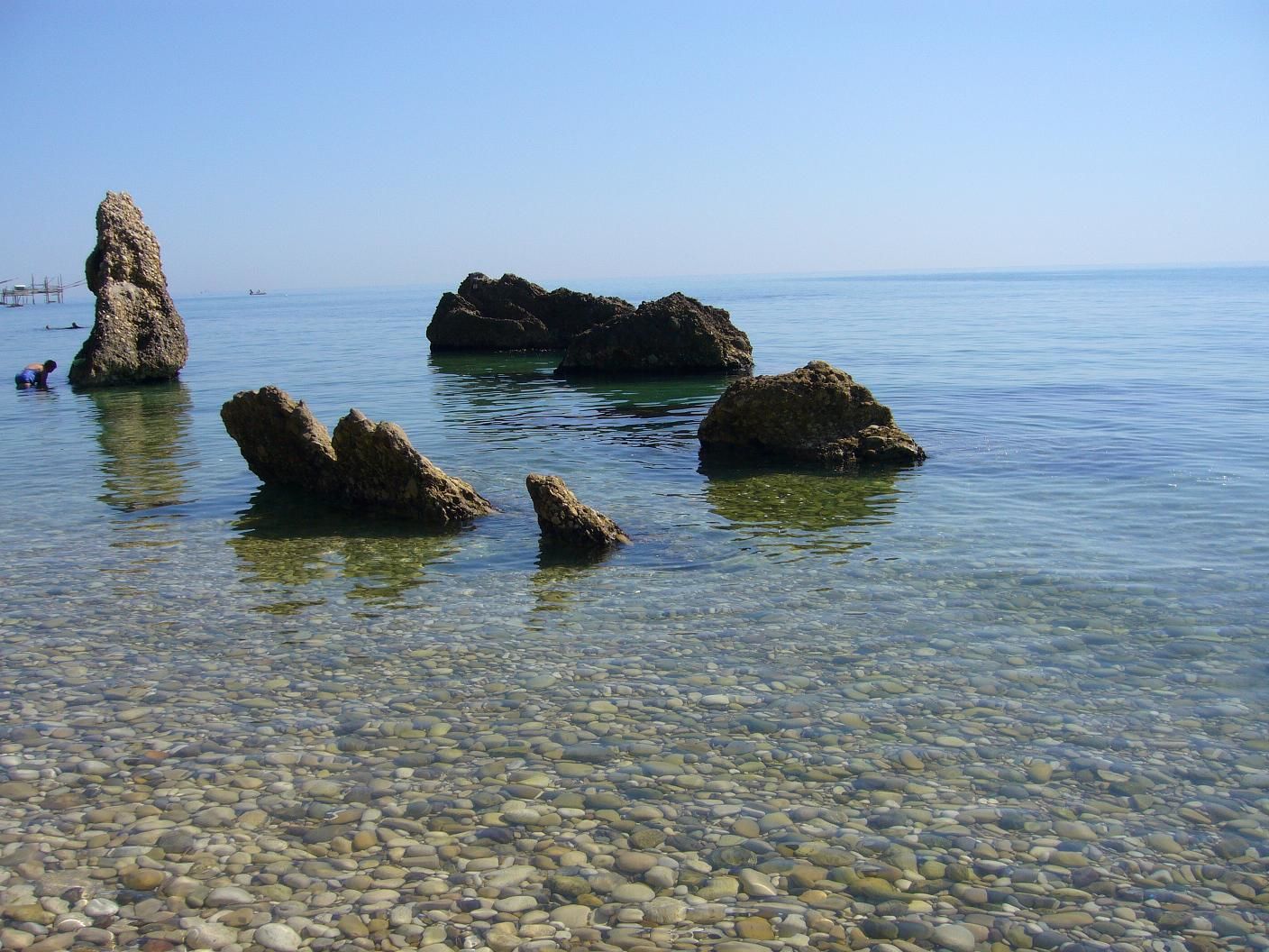 p1000568lh9[1].jpg