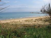 IMG_2793.JPG