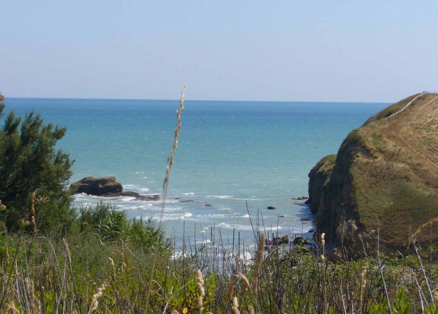 p1000446cq8[1].jpg