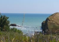 p1000446cq8[1].jpg