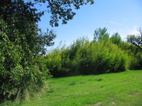 fattoria Marianna 134.JPG