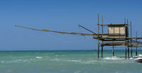 IMG_2640.jpg