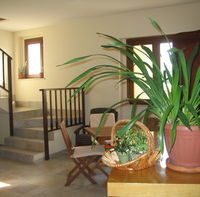 salone1.JPG