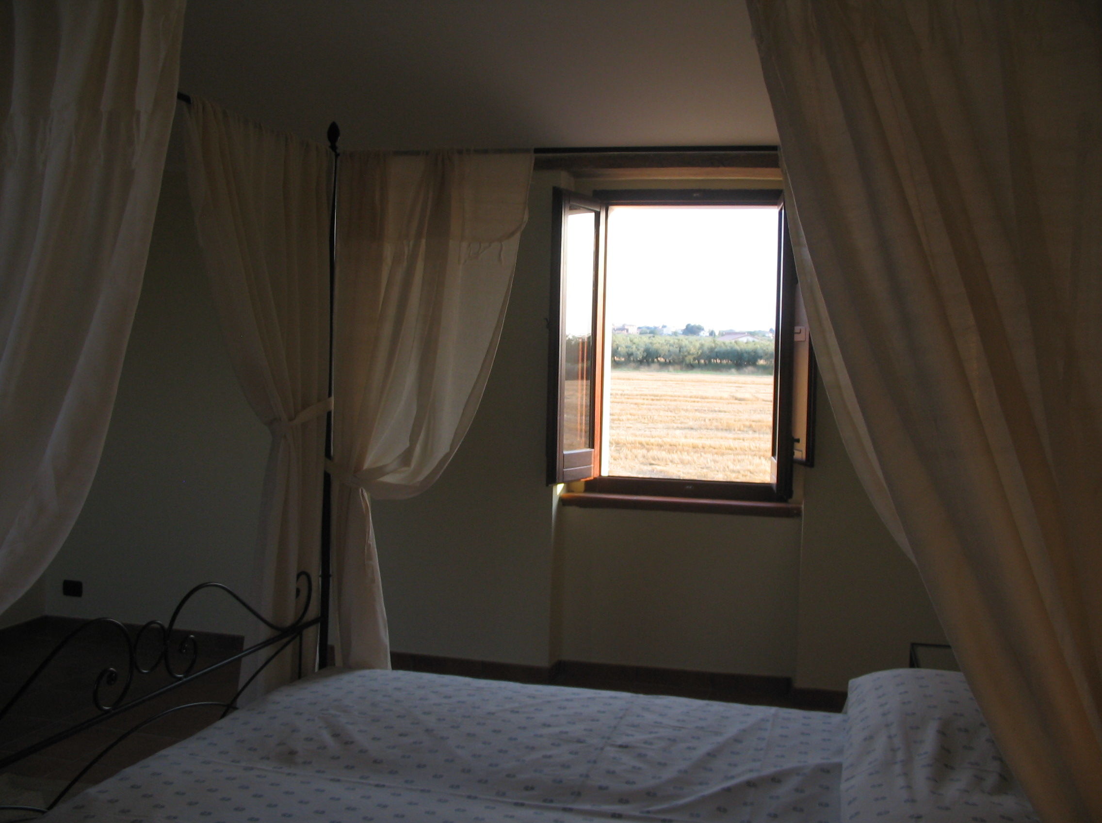 fattoria Marianna 010.JPG